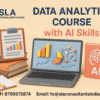 Data Analytics Course in Delhi with Free Python/ R Program by SLA